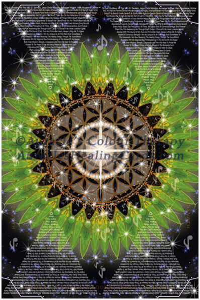 Luminous Black Mandala - Level 1 - Poster 24 x 36 inches