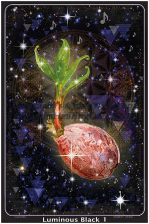 Luminous Black Image - Level 1 - Poster 24 x 36 inches