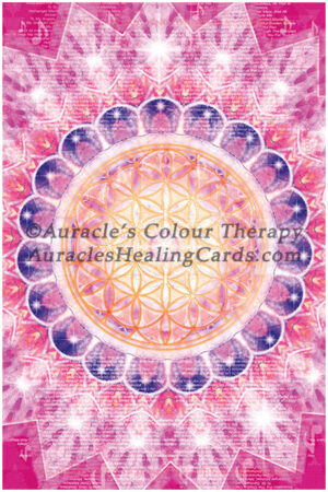 Magenta Mandala - Level 1 - Poster 24 x 36 inches