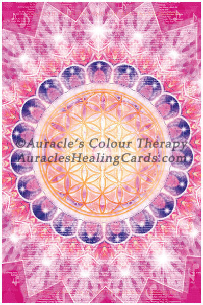 Magenta Mandala - Level 1 - Poster 24 x 36 inches