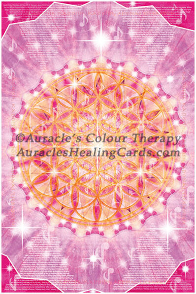 Magenta Mandala - Level 2 - Poster 24 x 36 inches