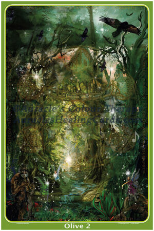 Olive Image - Level 2 - Poster 24 x 36 inches