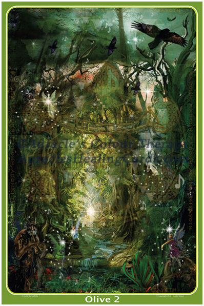 Olive Image - Level 2 - Poster 24 x 36 inches