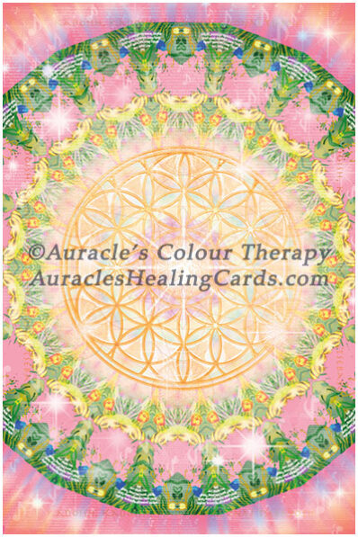 Pink Mandala - Level 2 - Poster 24 x 36 inches