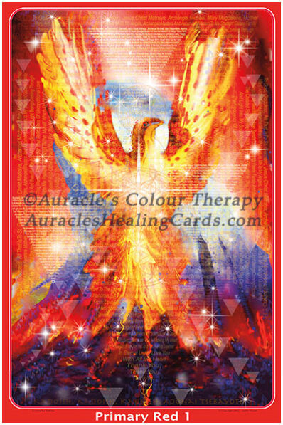 Primary Red Image - Level 1 - Poster 24 x 36 inches