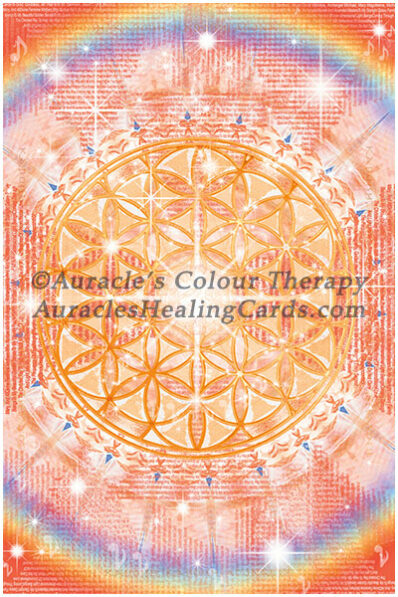 Burnt Orange Mandala - Level 1 - Poster 24 x 36 inches