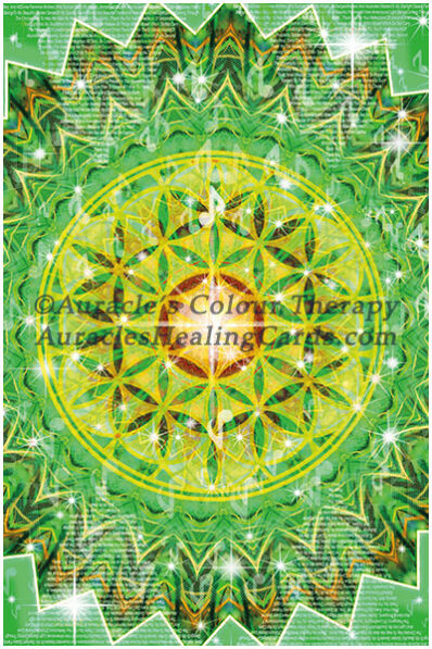 Green Mandala - Level 2 - Poster 24 x 36 inches