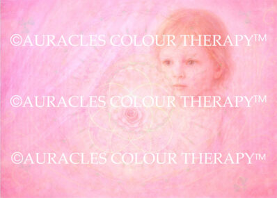 The Veil of the Rose: Awakening the Seed of Love Within - 8 inch x 10 inch, Laminated