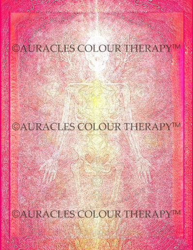 The Sacred Architecture Within Us - 8 inch x 10 inch, Laminated